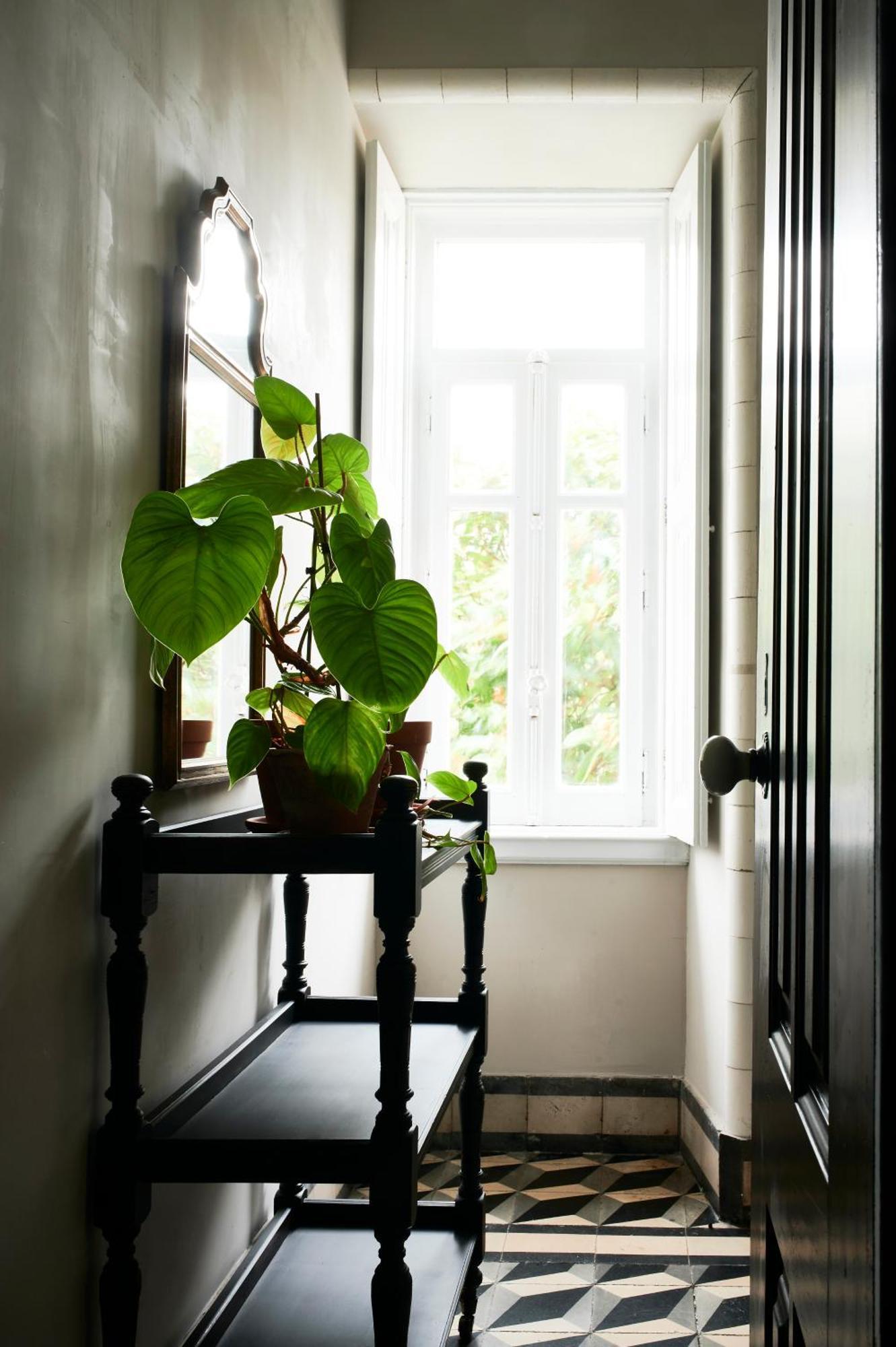 Vila Branca Guesthouse - Palacete Figueira da Foz Eksteriør bilde